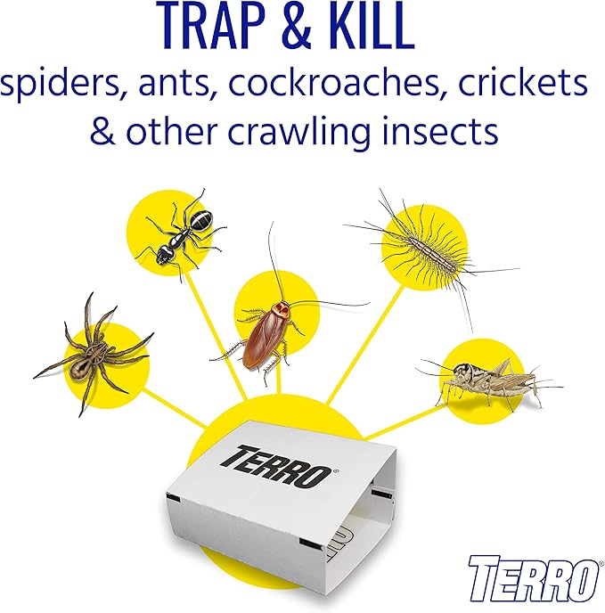 TERRO Spider & Insect Trap T3206-10 - Pack of 10 Insect Traps