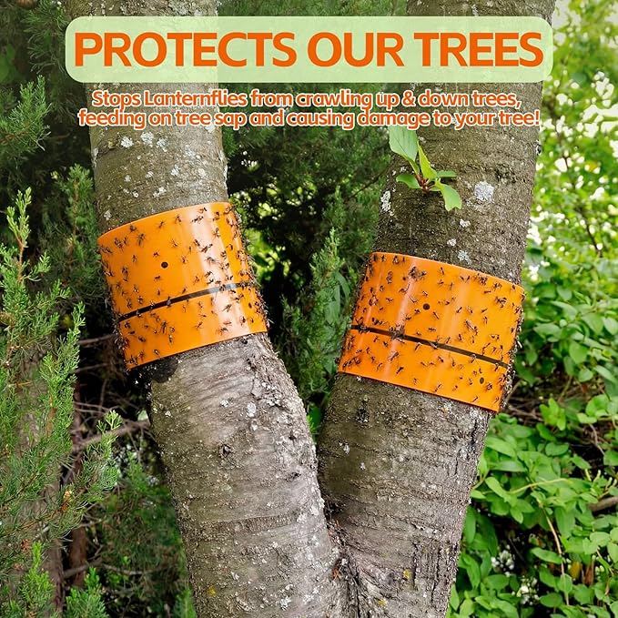 12 Rolls (30 Feet Each) Spotted Lantern Fly Tree Trap Outdoor Fruit Fly Sticky Strips Paper Ant Insect Sticky Barrier Tree Trunk Wraps to Protect Trees Plants, Lawn, Garden(Orange)