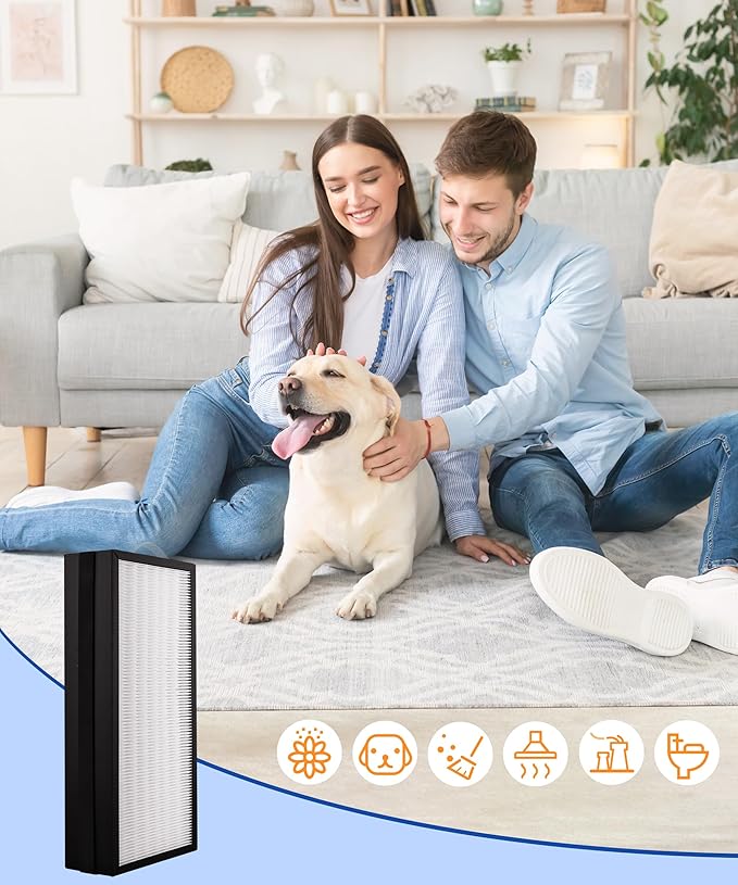 AC400 Replacement Filter Compatible with LUFTRUM AC400 Air Purifier, also fit Loniko AC400, 3-Stage Filtration System of H13 True HEPA and Activated Carbon, 2-Pack