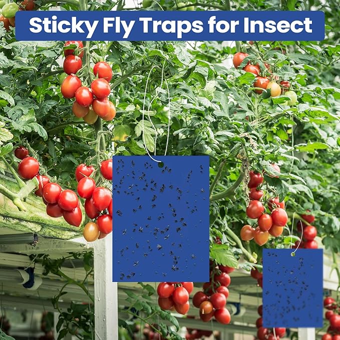 Qualirey 100 Pcs Blue 6 x 8 Inch Sticky Traps for Gnats Dual Sided Fruit Fly Sticky Traps for Indoor and Outdoor Plant with Twist Ties and Plastic Holders for Fungus Gnats, Bug, Flying Insect