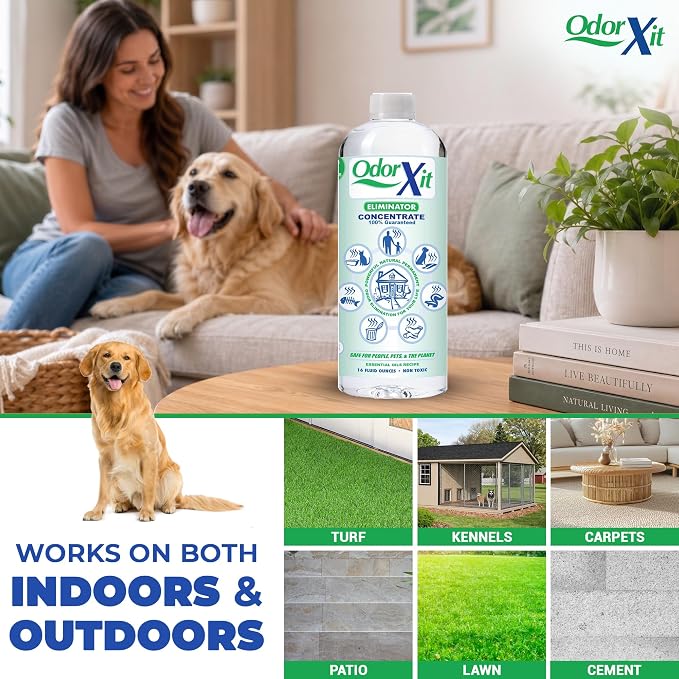 Concentrated Pet Urine Odor Eliminator, Ideal for Cat, Dog Poo and Urine Smell, Versatile & Natural Odor Neutralizer for Home and Outdoor Use, Deodorizer & Absorber, Concentrate, 16oz
