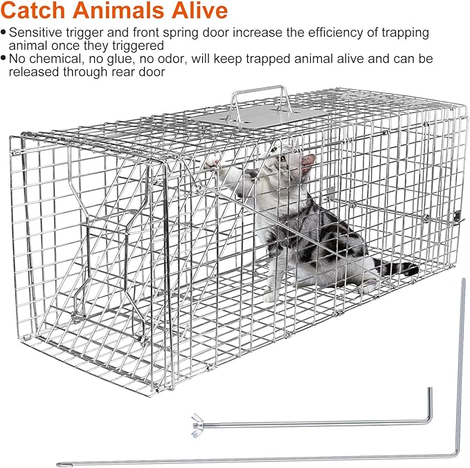 Humane Animal Trap Cage Collapsible Cat Trap Cage Live Animal Rodent Cage with Galvanized Wire for Raccoons Beavers Groundhogs Armadillos