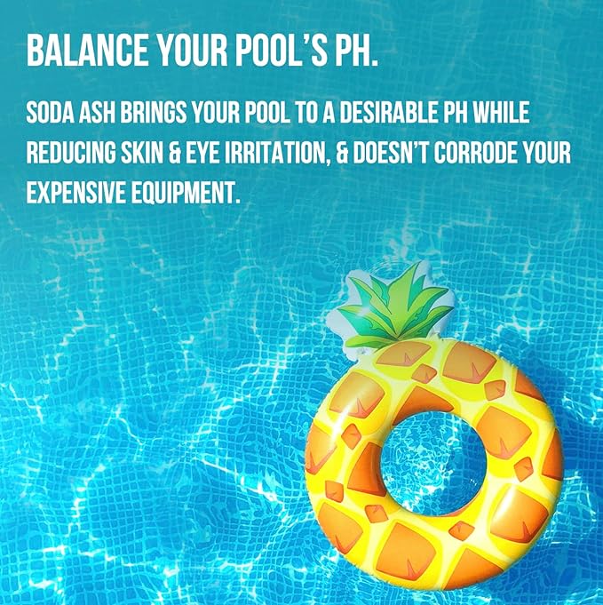Dive Rite in Premium Soda Ash Designed as a PH Increaser for Pool and Washing Soda for Tie Dying and Everyday Usage (2 Pounds)