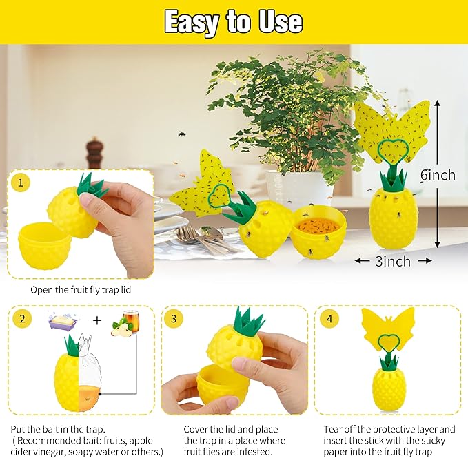 Fruit Fly Trap for Indoors, Effective Fruit Fly Catcher Gnat Killer with Sticker, Gnat Traps for House Indoor with Bait, Non-Toxic Reusable Easy to Use Fly Trap for Kitchen Home - 6 Pack