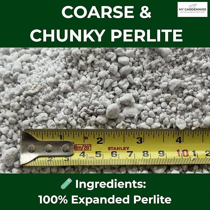 GARDENWISE Perlite for Plants, Coarse and Chunky Horticultural Perlite, Organic Perlite for Gardening Indoor & Outdoor, Perlite Bulk Bag, Made in USA (3 quarts)