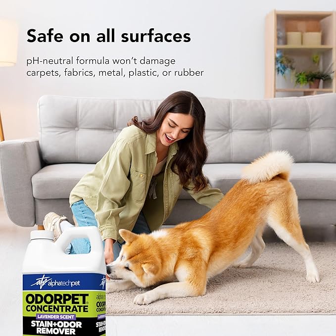 OdorPet Pet Stain Remover and Odor Eliminator - 64 Oz (Makes 2.55 Gallons of Working Solution) Non Staining, Professional Strength, Lavender Scent by Alpha Tech Pet