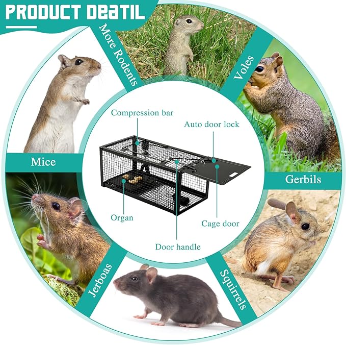 Qualirey 2 Pcs Live Rat Trap Humane Mouse Trap Mice Rat Cage Work for Small Animal Indoor and Outdoor Mouse Voles Hamsters Catch and Release(Black)