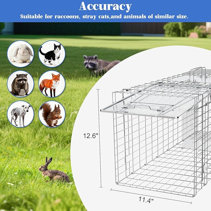 Humane Live Animal Trap, Heavy Duty Folding Raccoon Traps Cage for Cat, Squirrel, Skunk, Raccoon, Fox Catch and Release Large Size 31.1 * 11 * 12.6 Inch