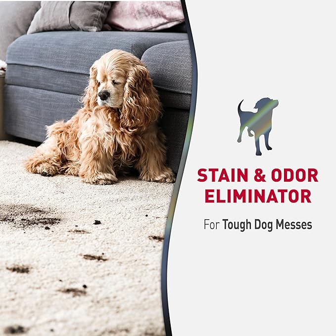 Nature's Miracle 1gal Severe Mess Enzymatic Dog Stain & Odor Eliminator and 32oz Laundry Boost Pet Stain & Odor Remover