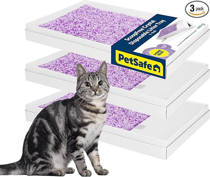 PetSafe ScoopFree Disposable Crystal Cat Litter Tray - Easy Cleaning Box - Refill Tray for Automatic Litter Box - Lavender Scent - 4.3 lb Bags - 3 Pack