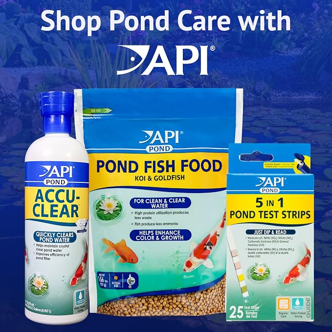 API POND ALGAEFIX (8 fl oz) Pond Algae Control - Copper Free - Clean, Clear Water - Up to 2400 Gallons - Safe for Fish & Plants - Water Gardens & Fountains - Natural Active Ingredient - EPA-Registered