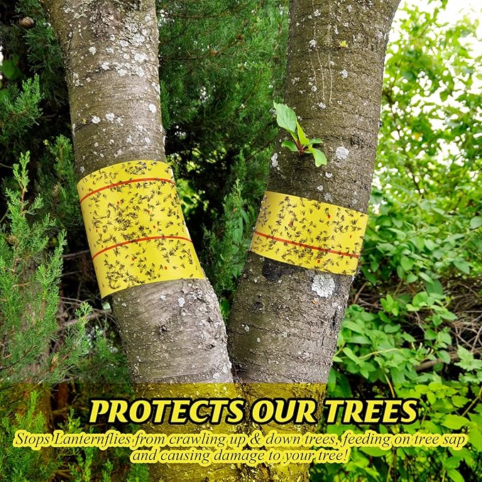 12 Rolls (30 Feet Each) Spotted Lantern Fly Tree Trap Outdoor Fruit Fly Sticky Strips Paper Ant Insect Sticky Barrier Tree Trunk Wraps to Protect Trees Plants, Lawn, Garden(Yellow and Red)