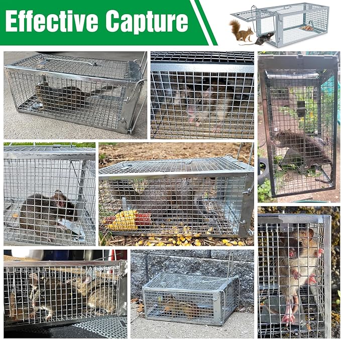 4 Packs Humane Rat Trap Outdoor, Wanqueen Humane Mouse Traps Indoor for Home, Small Rodent Chipmunk Squirrel Trap and Other Live Animal Cage Catch and Release