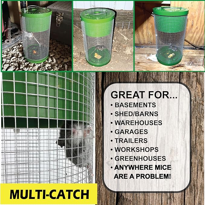 Billy Bob Humane Indoor/Outdoor Catch and Release Mouse Trap Bundle