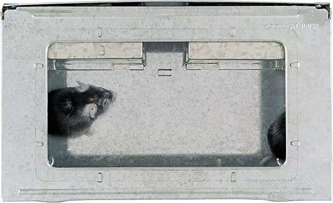 iTrap Multi-Catch Humane Mouse Trap with Clear Top | Repeater Mouse Trap for Home & Office | Set of 3 - iTrap-002-S4-3PK