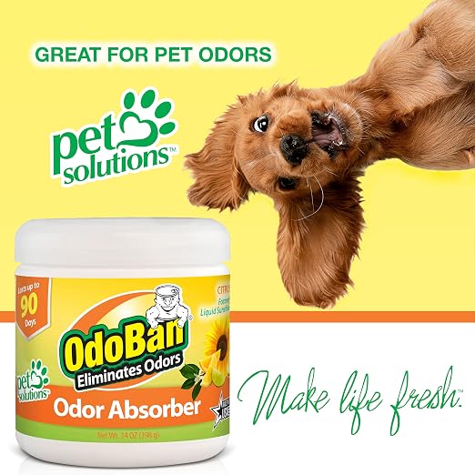 OdoBan Solid Odor Absorber Eliminator for Home and Small Spaces, Citrus Scent, 14 Ounces Each, 3-Pack Pet Solutions No Rinse Neutral pH Floor Cleaner Concentrate, 2-Pack, 1 Gallon Each