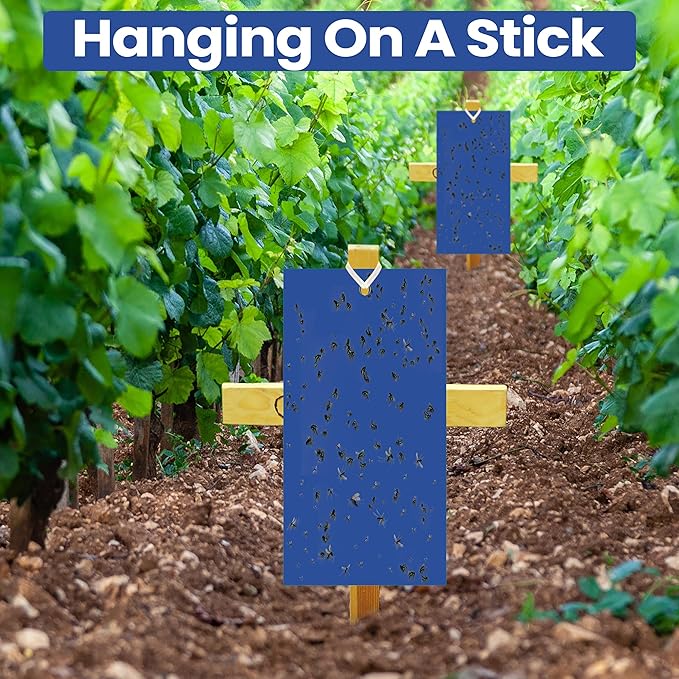 Qualirey 100 Pcs 7.87 x 3.9 Inch Blue Sticky Traps for Thrips Double Sided Sticky Trap for Gnats Plant,Thrips, Aphids, and Black Flies with Twist Ties,Indoor and Outdoor