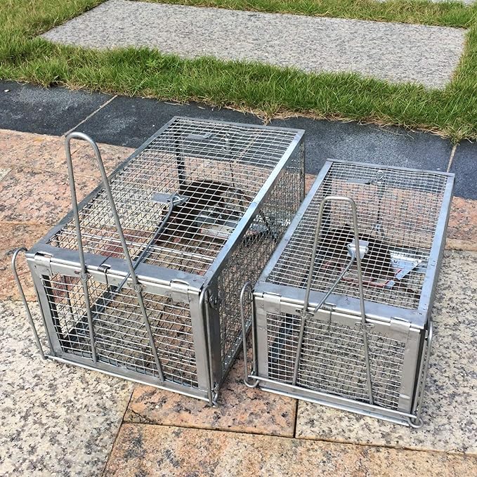 Kensizer Animal Humane Live Cage Trap that Work for Rat Mouse Chipmunk Mice Voles Hamsters and Other Small Rodents, Trampa para Ratones, Catch and Release 1Pack Medium 12" L x 6.5" W x 5" H