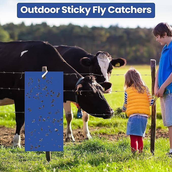 Qualirey 100 Pcs 7.87 x 3.9 Inch Blue Sticky Traps for Thrips Double Sided Sticky Trap for Gnats Plant,Thrips, Aphids, and Black Flies with Twist Ties,Indoor and Outdoor