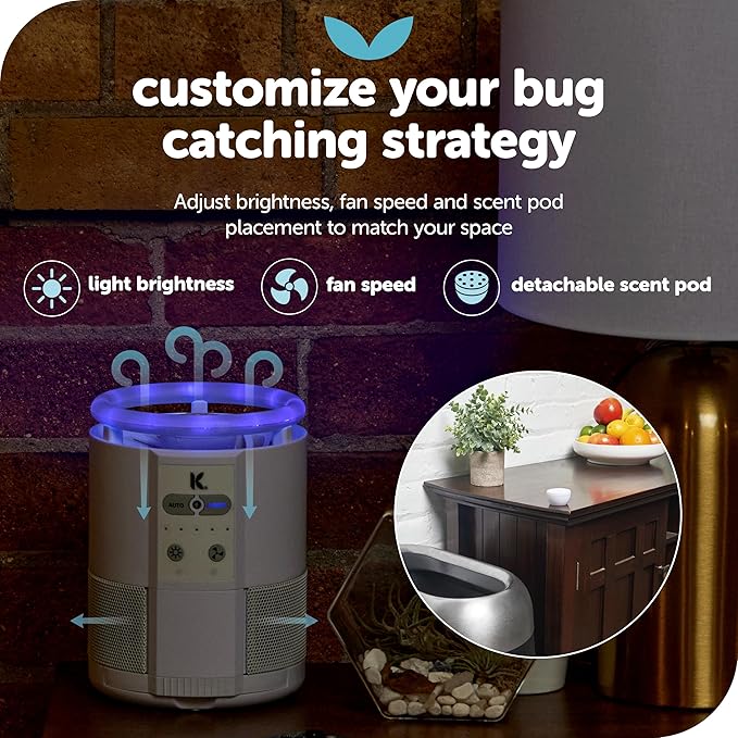 Katchy Duo Indoor Fruit Fly Trap (Black) & 8 Pack Refillable Glue Boards