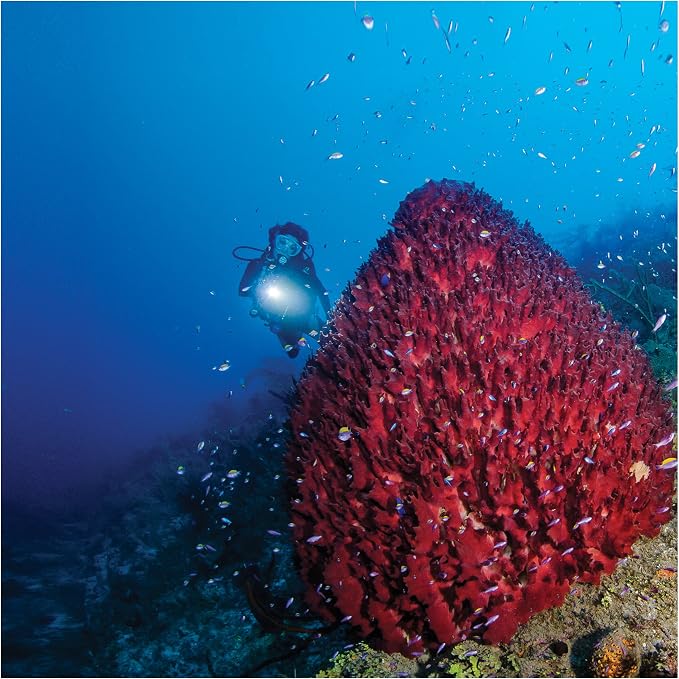 Underwater Kinetics SL3 eLED (L2) Dive Light