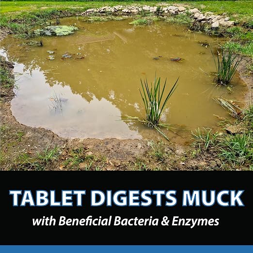 CrystalClear MuckOff Natural Pond Muck Treatment Sludge Remover, 96 Tablets | Living beneficial bacteria clarifier with enzyme for water gardens, fountains & bird baths; fish, aquatic animal & pet safe