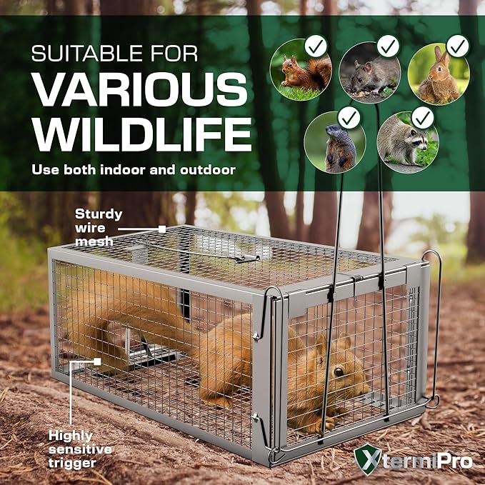 Humane Squirell Trap -2 Pack, Chipmunk and Rat Cages that Work for Home | Catch and Release | Reusable and Durable | No Kill Animal Trap | for Inside Home and Outdoor Use
