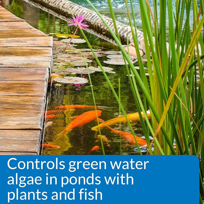API PONDCARE MICROBIAL ALGAE CLEAN Green Water Biological Inhibitor (269D) 64-Ounce