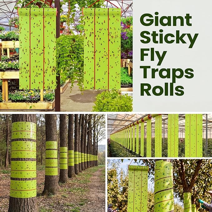 Qualirey Giant Sticky Fly Traps, Fly Strips for Indoor Outdoor Hanging Flying Tapes Non Toxic Ribbon Fruit Gnat Killer for Mosquito Plants House Horse Stable(30 ft,Fluorescent Green,2 Pcs)