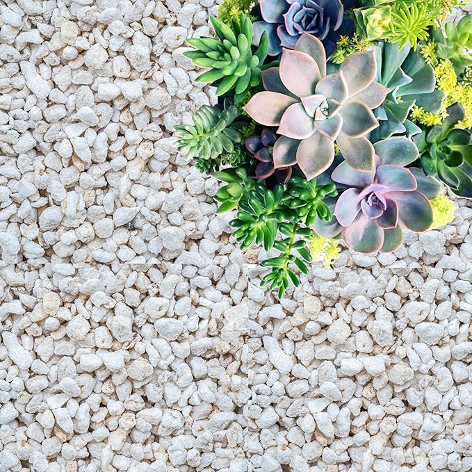 GARDENWISE Perlite for Plants, Coarse and Chunky Horticultural Perlite, Organic Perlite for Gardening Indoor & Outdoor, Perlite Bulk Bag, Made in USA (30 quarts)