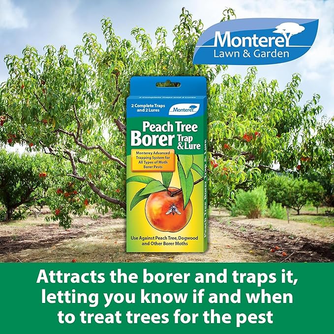 Monterey Peach Tree Borer Trap & Lure - 2 Pack