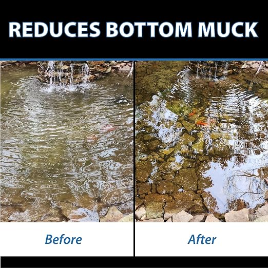 CrystalClear MuckOff Natural Pond Muck Treatment Sludge Remover, 96 Tablets | Living beneficial bacteria clarifier with enzyme for water gardens, fountains & bird baths; fish, aquatic animal & pet safe