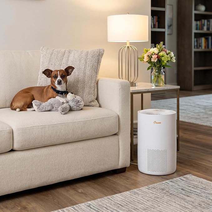 Crane True HEPA Air Purifiers for Home, Up To 300 Sq Ft, Air Purifiers For Bedroom, and Office, Removes Dust, Smoke, Pet Dander, and Allergens, Purifier HEPA with Sleep Timer, Child Lock, Filter Alert