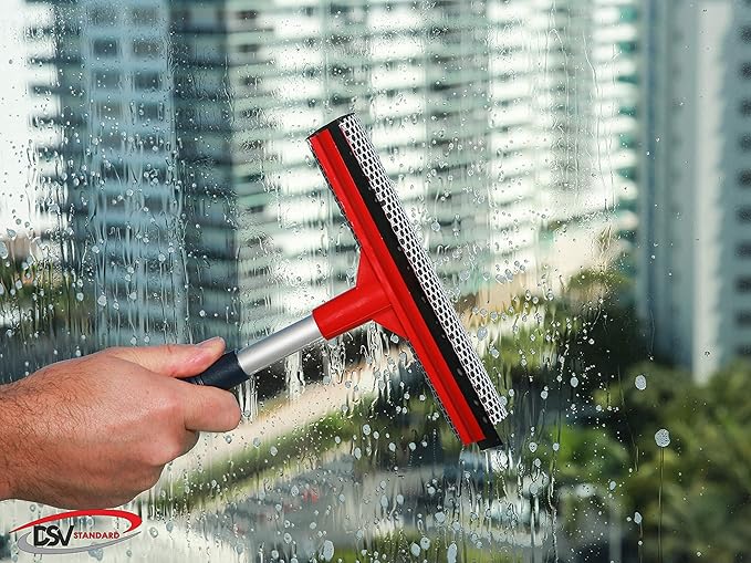 DSV Standard Window Squeegee 8'' and Car Wash Brush 10''