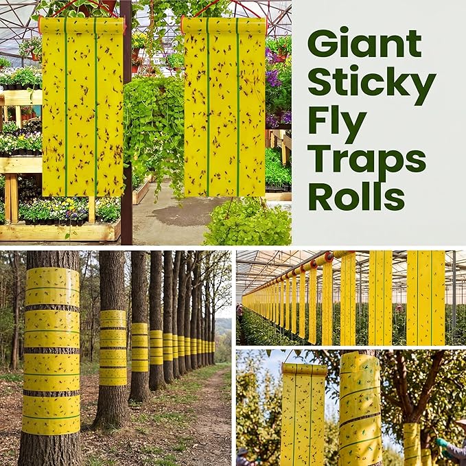 Qualirey Giant Sticky Fly Traps, Fly Strips for Indoor Outdoor Hanging Flying Tapes Non Toxic Ribbon Fruit Gnat Killer for Mosquito Plants House Horse Stable(30 ft,Yellow and Green,10 Pcs)