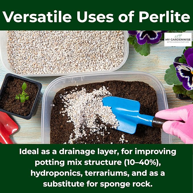 GARDENWISE Perlite for Plants, Coarse and Chunky Horticultural Perlite, Organic Perlite for Gardening Indoor & Outdoor, Perlite Bulk Bag, Made in USA (5 quarts)