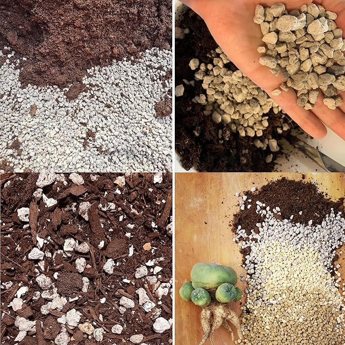 Horticultural Pumice for Plants Professional Sifted (8QT, 1/4 inch)