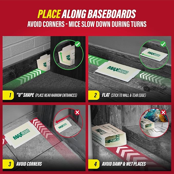 Catchmaster Max-Catch Mouse & Insect Glue Trap 72PK, Mouse Traps Indoor for Home, Sticky Pest Control Adhesive Tray for Catching Bugs, Bulk Unscented Glue Boards