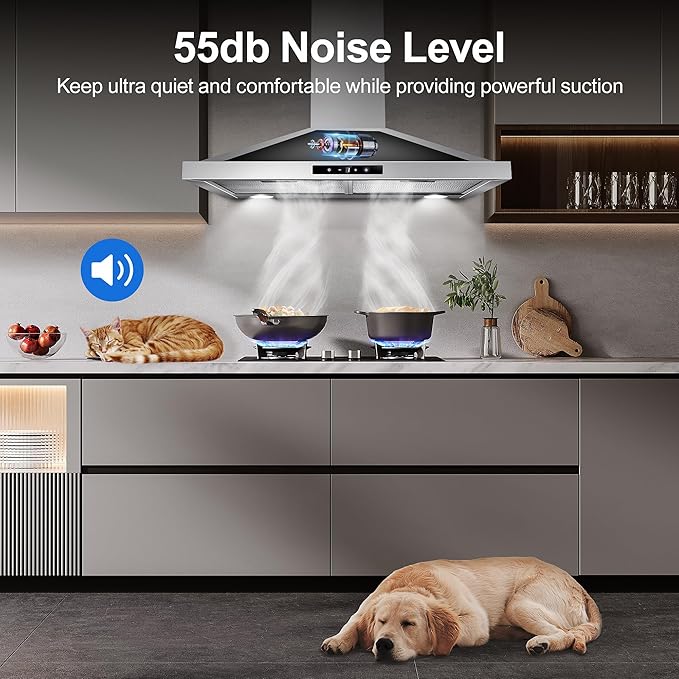 Tieasy Range Hood 30 inch Wall Mount, Kitchen Vent Hood 450 CFM in Stainless Steel, Stove Vent Hood with Ducted Convertible Ductless, Touch Switch, LEDs Light, 3-Speed Fan, Aluminum Filters