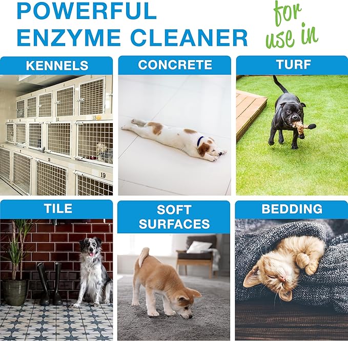 Orb-3 Enzyme Kennel Cleaner, Professional Pet Odor & Stain Remover – Enzymatic Formula for Kennels, Crates, Floors, Carpets & Hard Surfaces, 1-Gallon Jug