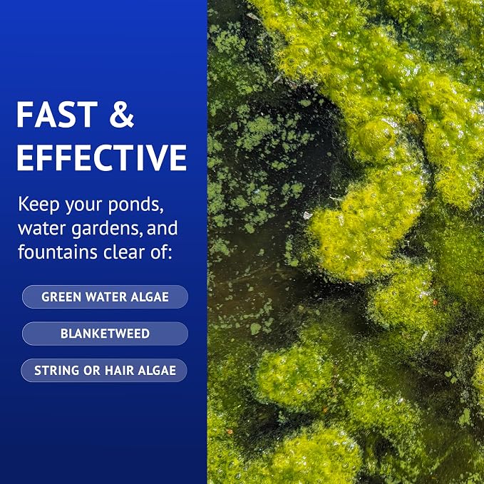 API POND ALGAEFIX (32 fl oz) Pond Algae Control - Copper Free - Clean, Clear Water - Up to 9600 Gallons - Safe for Fish & Plants - Water Gardens, Fountains - Natural Active Ingredient - EPA-Registered