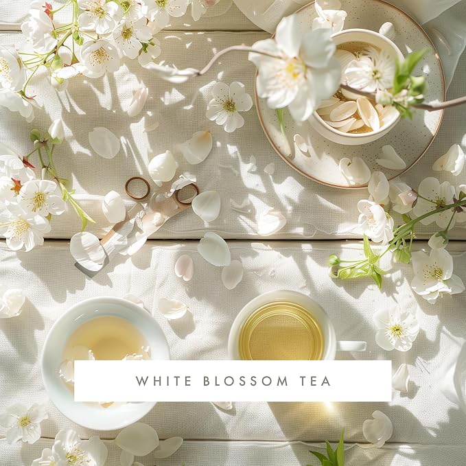 ScentAir Whisper Essential Monthly Plug-in Refill, White Blossom Tea | Fragrance Diffuser Cartridge Refill for Home and Office