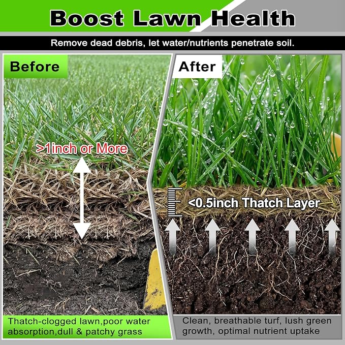 Rolling Thatch Rake for Lawns, 15.28 Inch Steel Dethatcher Rake with Wheels, Adjustable 0-15° Angle & 62.99 Inch Handle, Heavy-Duty Yard Tool for Dead Grass/Moss Removal & Lawn Care