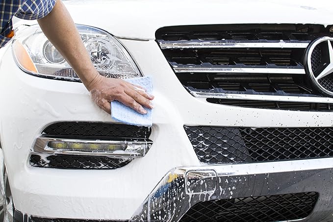 Bug Removing Sponge (6 Pack) - No Scratch - Cars, Trucks, RVs, and Boat