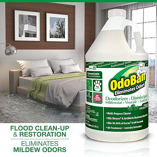 OdoBan Professional Disinfectant and Odor Eliminator Concentrate, 2 Gallons, Original Eucalyptus Scent