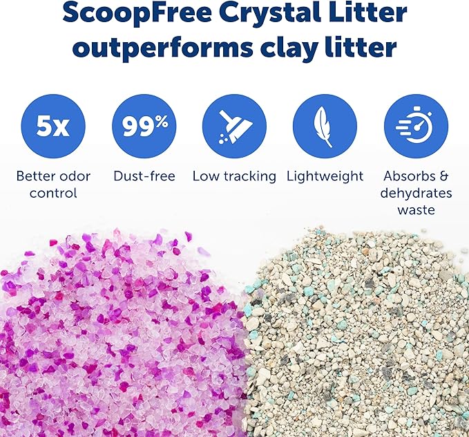 PetSafe ScoopFree Disposable Crystal Cat Litter Tray - Easy Cleaning Box - Refill Tray for Automatic Litter Box - Lavender Scent - 4.3 lb Bags - 3 Pack
