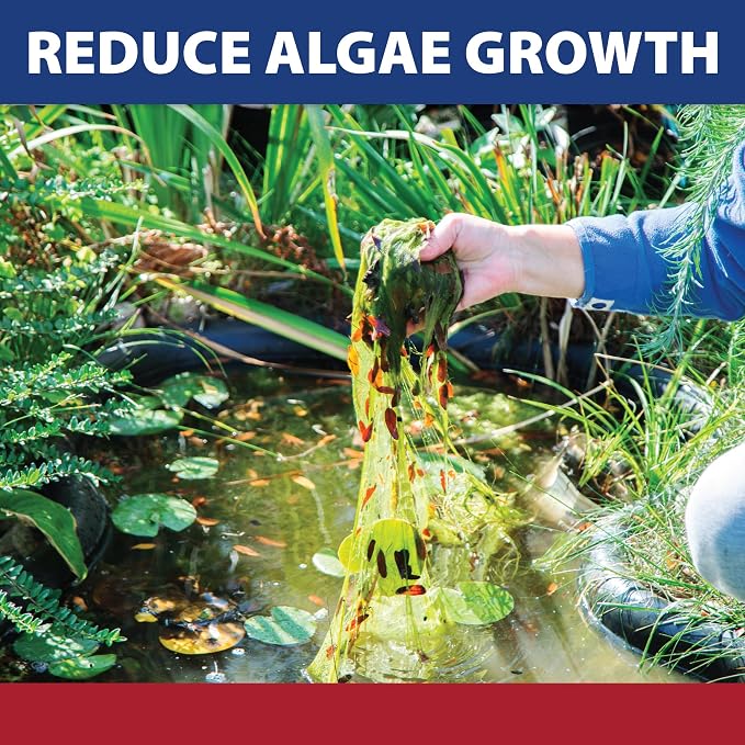 The Pond Guy InstaFix Algae Control, Outdoor Water Garden, Fountain & Birdbath Algae Solution, EPA Registered Liquid Algaecide, Control Green Water & String Algae, Bird, Fish & Pet Safe, 2.5 Gallon