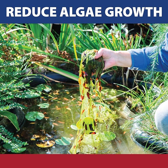 The Pond Guy InstaFix Algae Control, Outdoor Water Garden, Fountain & Birdbath Algae Solution, EPA Registered Liquid Algaecide, Control Green Water & String Algae, Bird, Fish & Pet Safe, 32 Ounces