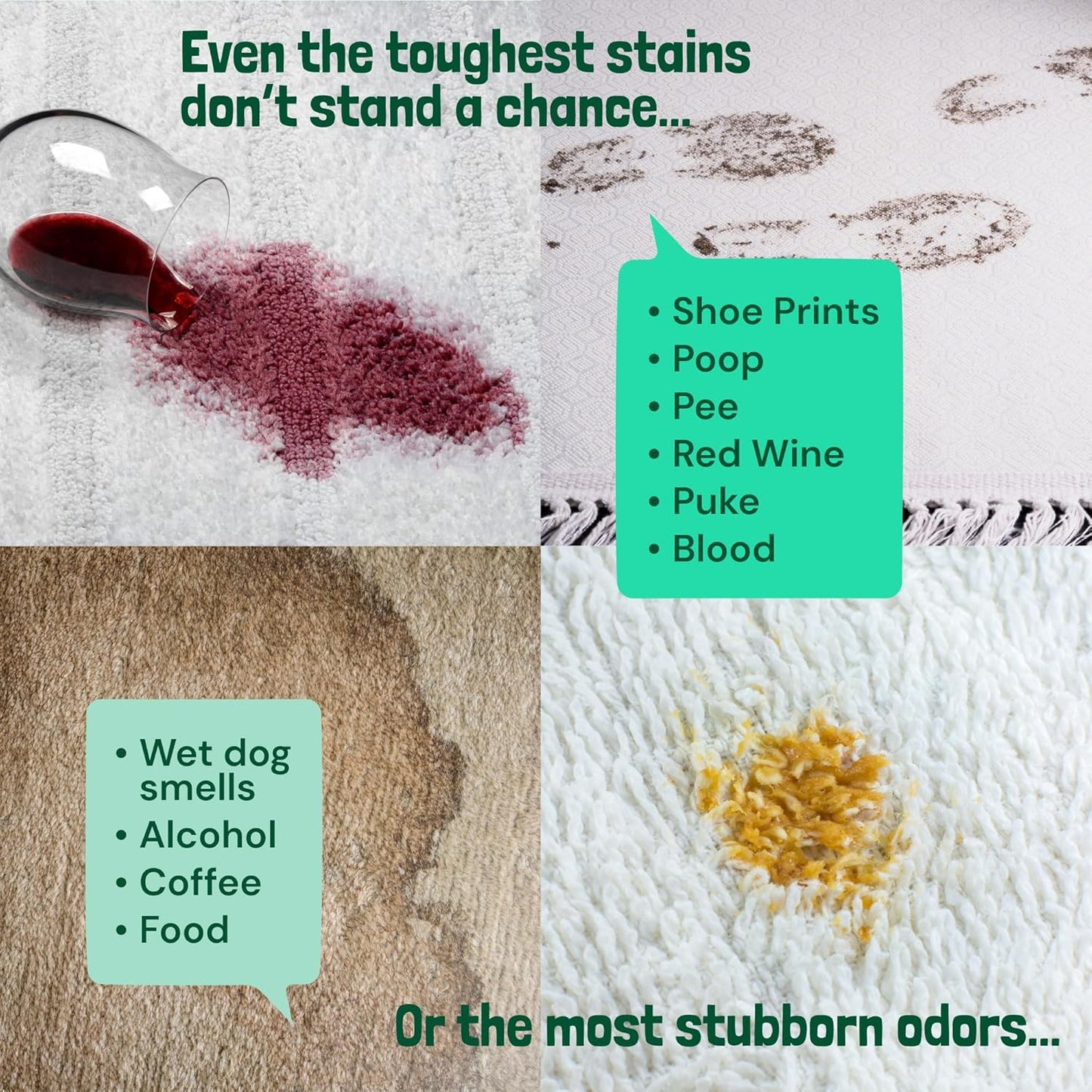 Sunny & Honey Carpet Shampoo & Cleaning Solution - 32 Fl Oz Spring Mint Scent - Pet Carpet Cleaner Machine Solution - Rug & Upholstery Cleaner - Stain Remover & Odor Deodorizer