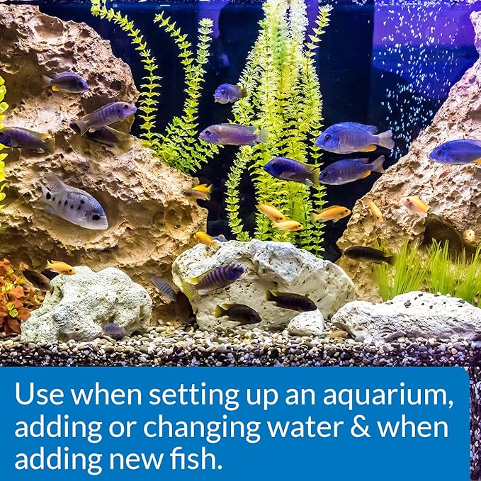 API Aquarium Cleaning and Water Care Solutions Bundle